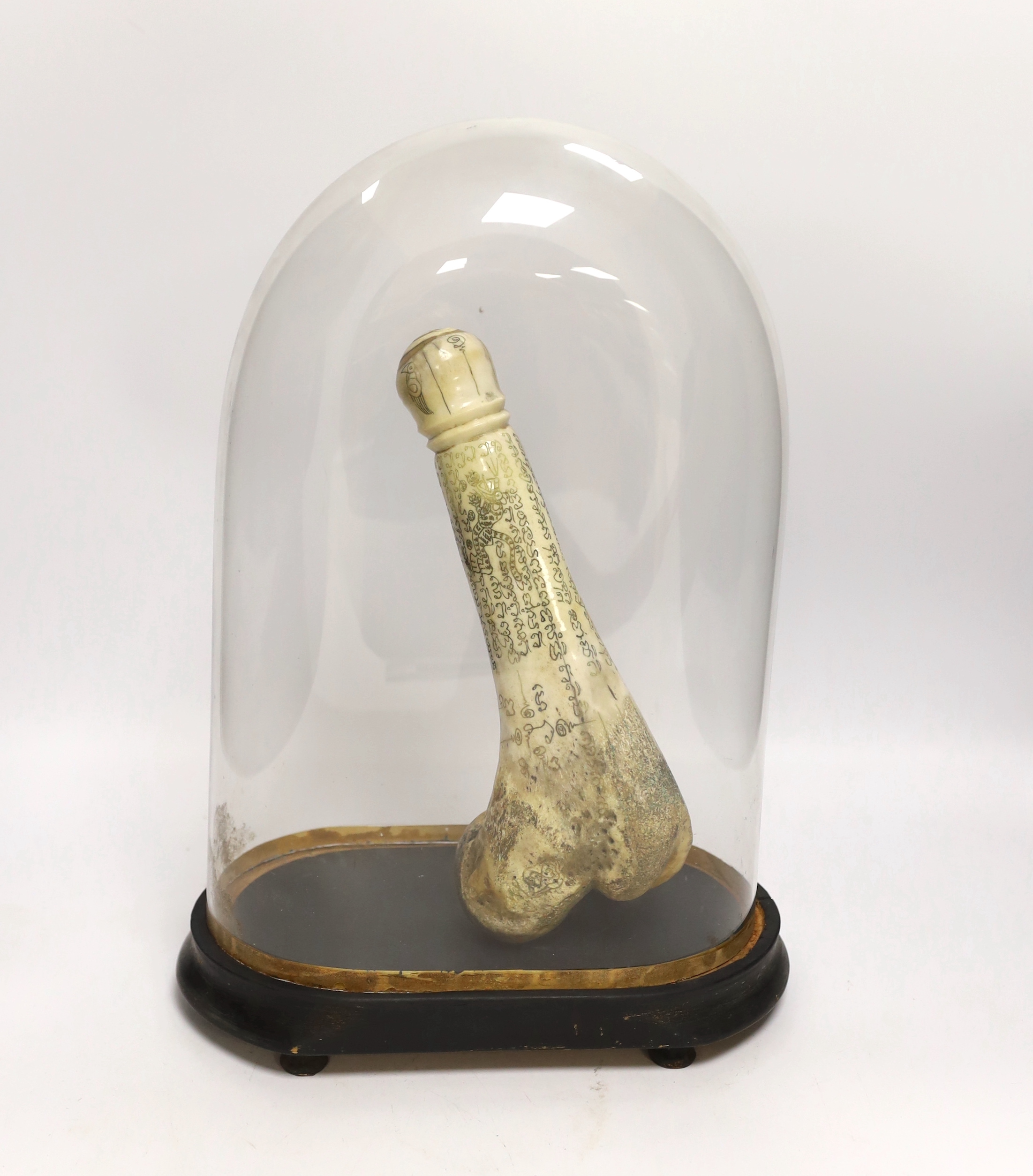 A North African? Carved bone phallic model under glass dome, total height of dome 38cm